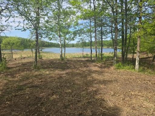 Lot 12 County Road 30, Crosby, MN 56441