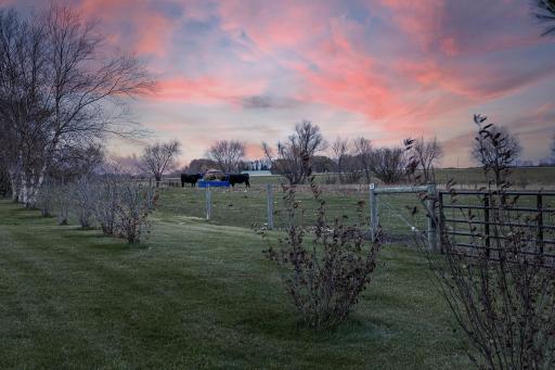 One view of 6 paddock pasture, not pictured is the extra large hay storage barn with side run-in for livestock.