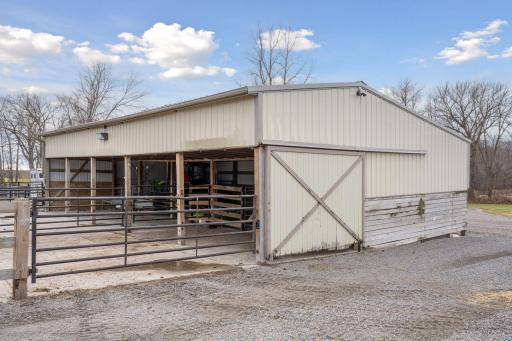 Cattle Barn is currently hosting a herd of 16 registered Black Angus Cattle