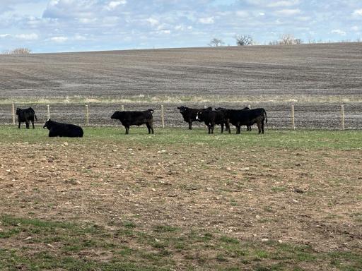 10599 State Highway 56, Le Roy, MN 55951