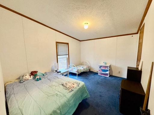 1306 22nd Avenue NW, Baudette, MN 56623