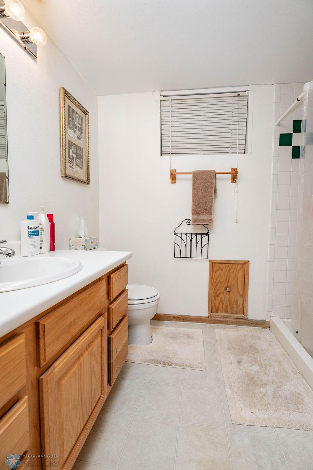 Updated Basement Bath with Shower