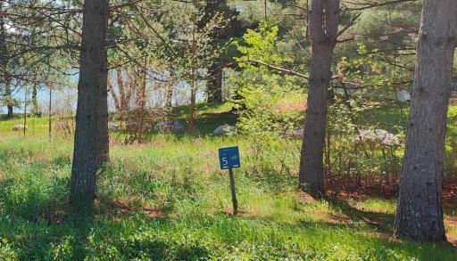 80075 Lake of Vermilion Road, Tower, MN 55790