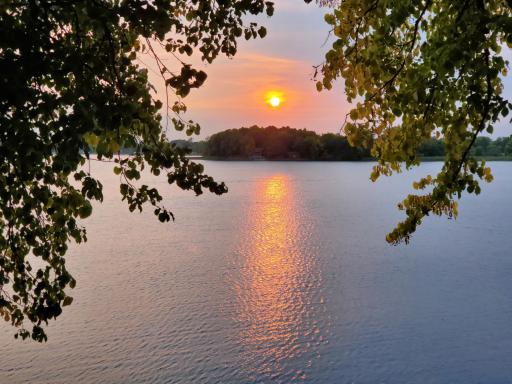 11847 Gulden Avenue NW, Maple Lake, MN 55358