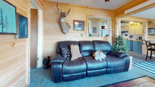27096 Little Floyd Lake Road, 6, Detroit Lakes, MN 56501