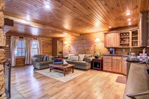 Another view of the lower level family room!