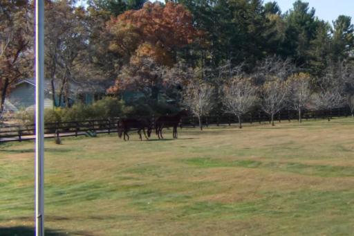 This property comes fully furnished including Fred the Buffalo and Bert and Ernie, the 6ft cast iron horses. :)