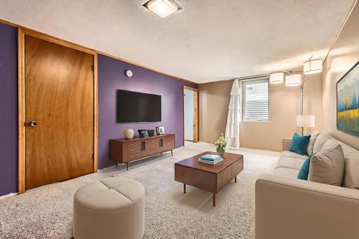 11352-Olive-Street-Web-Quality-022-23-Lower-Level-Family-Room - Living Room - Standard - 0.jpg
