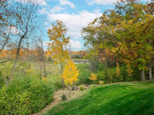 21397 Crimson Court, Lakeville, MN 55044
