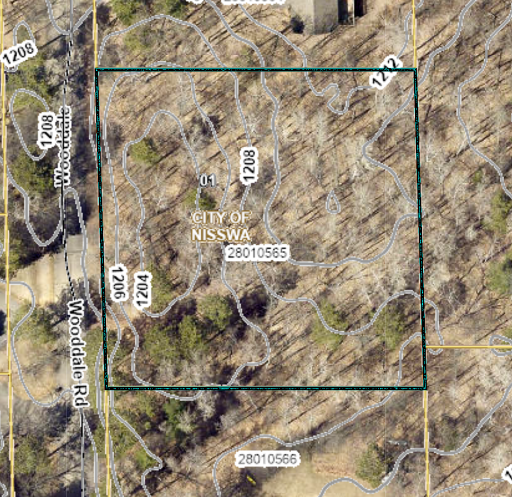 TBD Wooddale Road, Nisswa, MN 56468