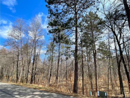 Sought-after Nisswa lot, for your future build!
