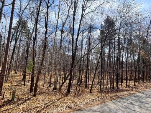 TBD Wooddale Road, Nisswa, MN 56468