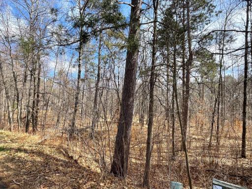 TBD Wooddale Road, Nisswa, MN 56468