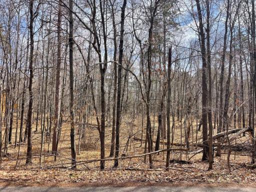 TBD Wooddale Road, Nisswa, MN 56468