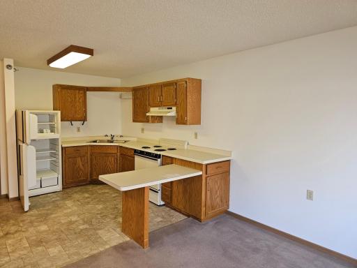 Renville, MN 56284