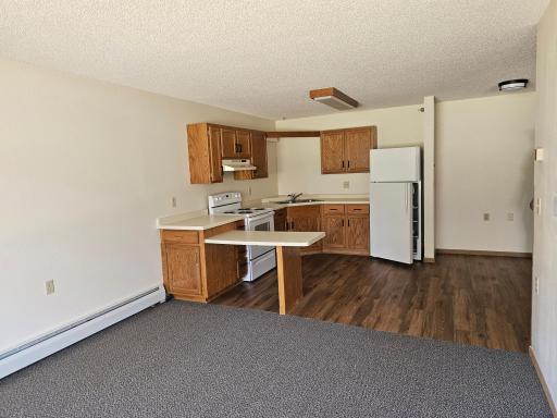 Renville, MN 56284