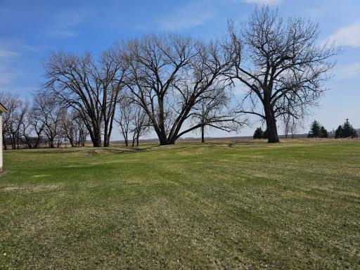 Renville, MN 56284