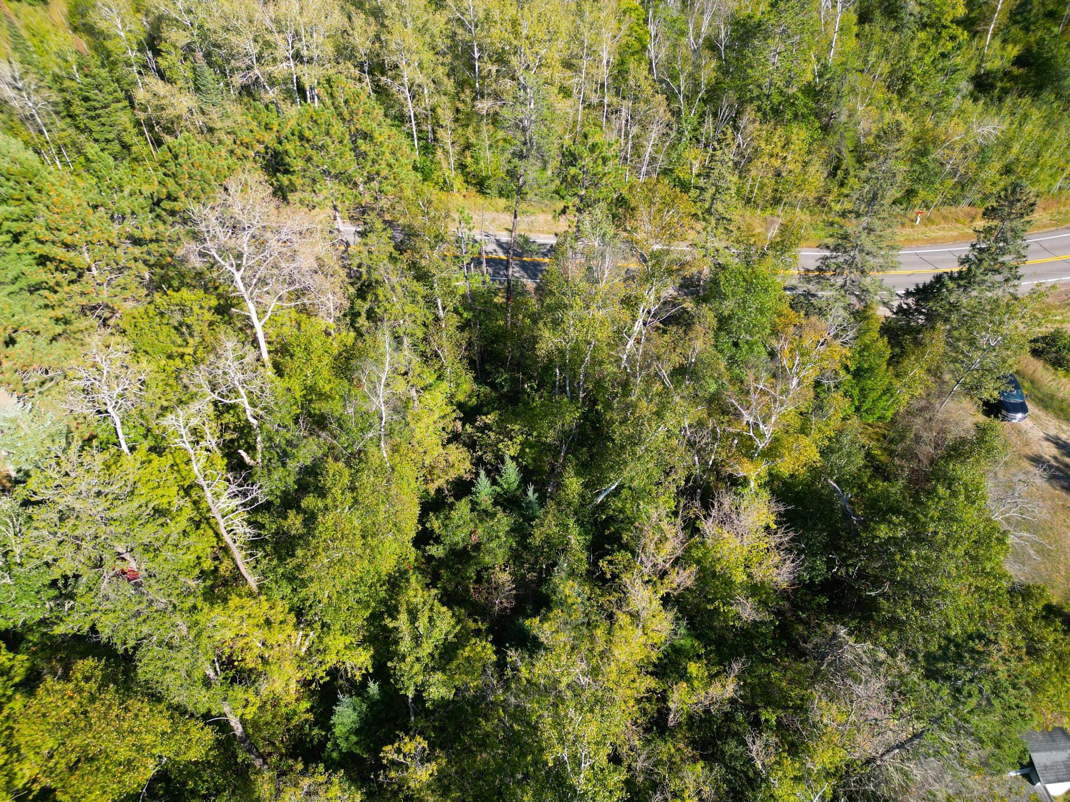 DJI_0359.JPG