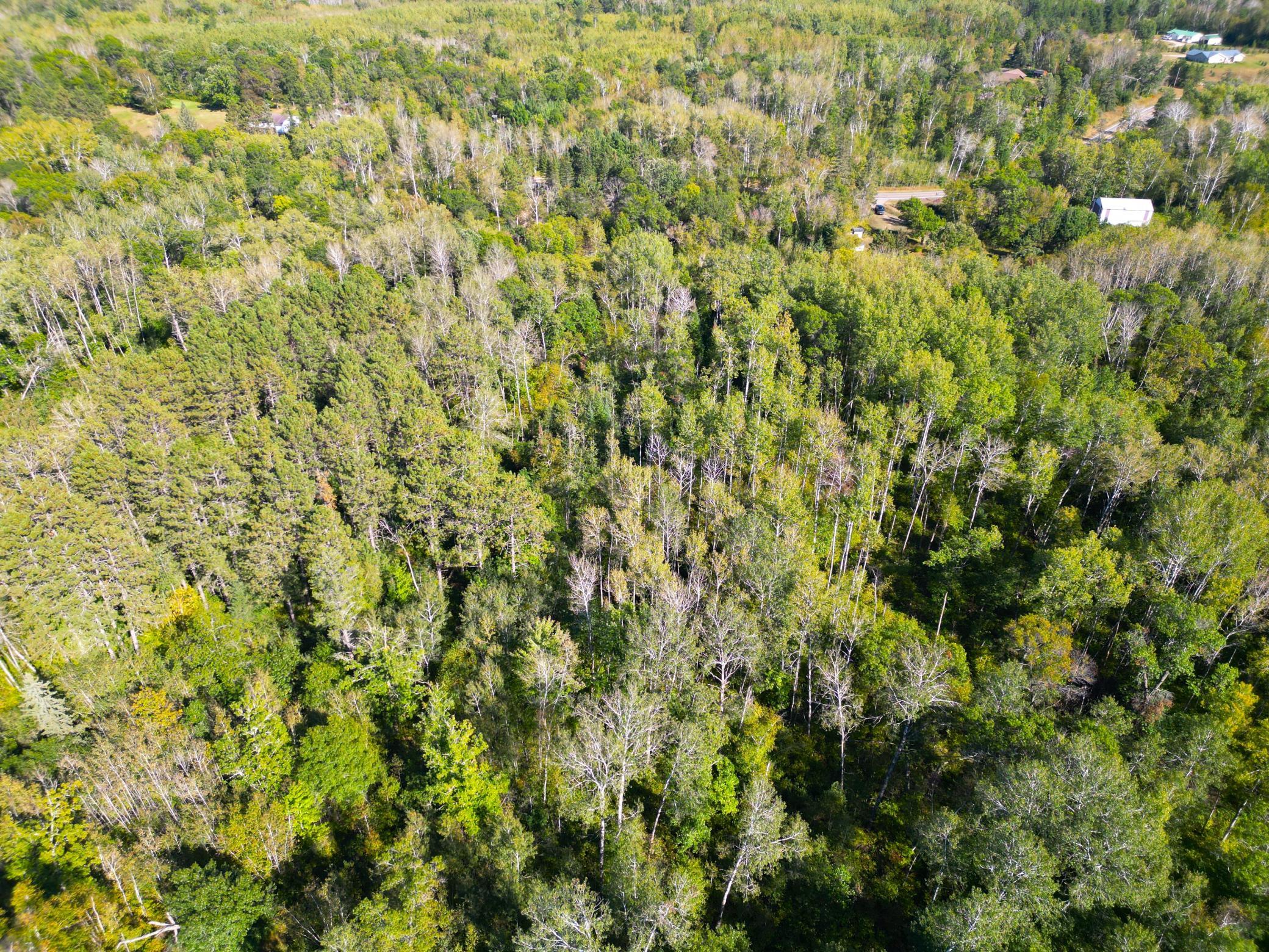 DJI_0357.JPG