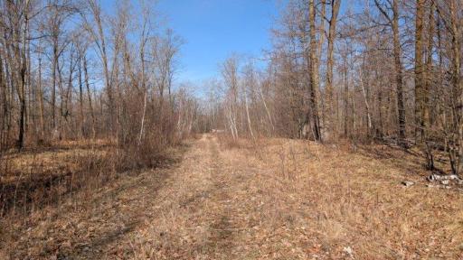 TBD Lacy Lane, Pequot Lakes, MN 56472