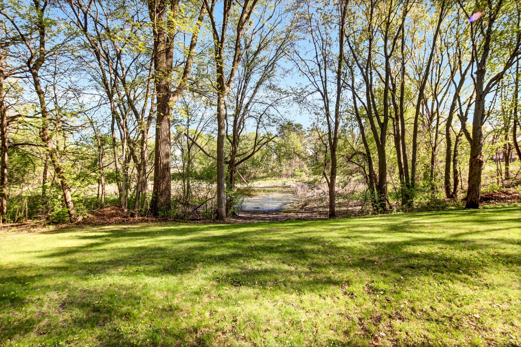 Backyard pond views!