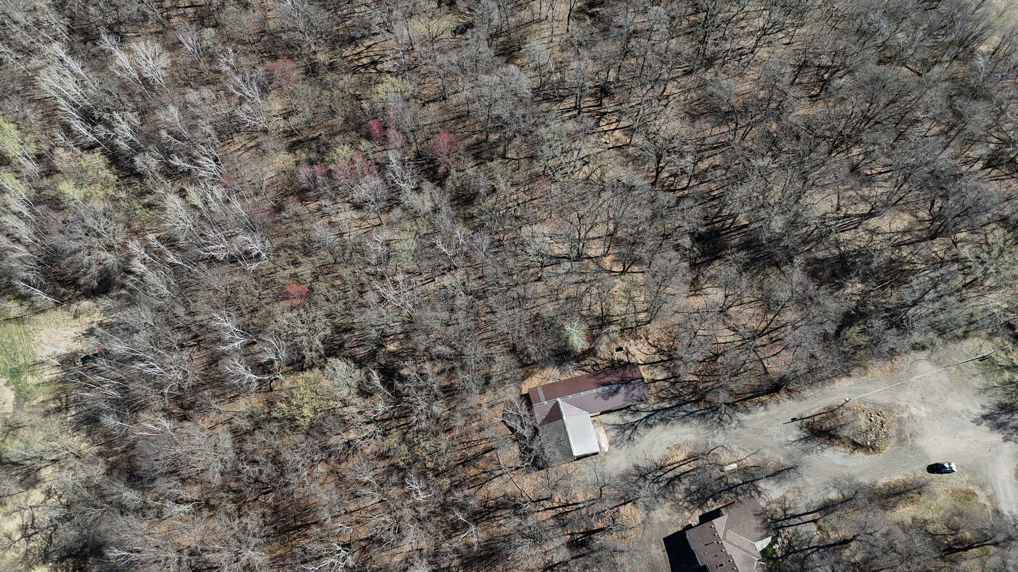 DJI_20250429093719_0822_D.JPG