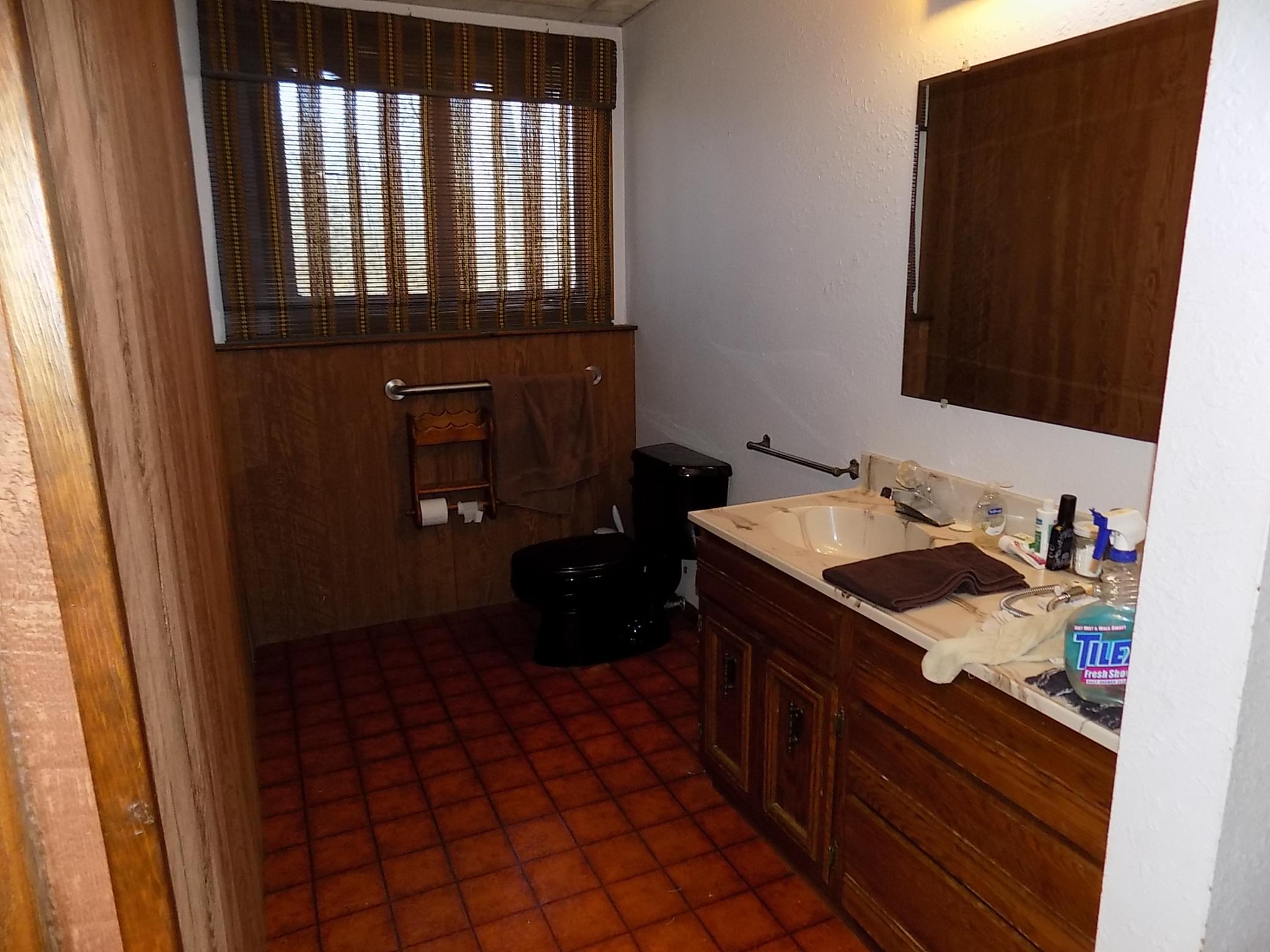 Basement bath 1.JPG