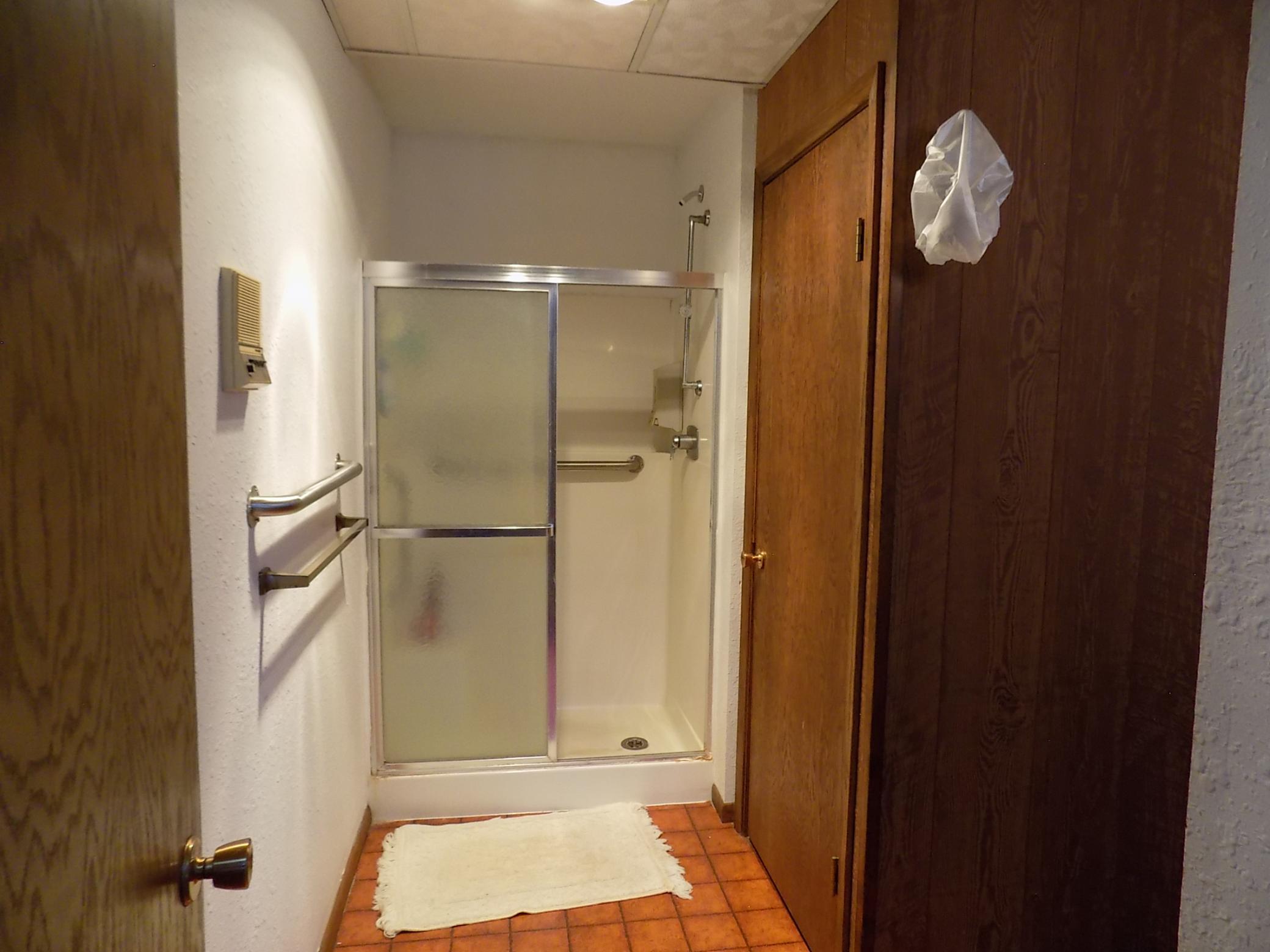 Basement bath shower.JPG