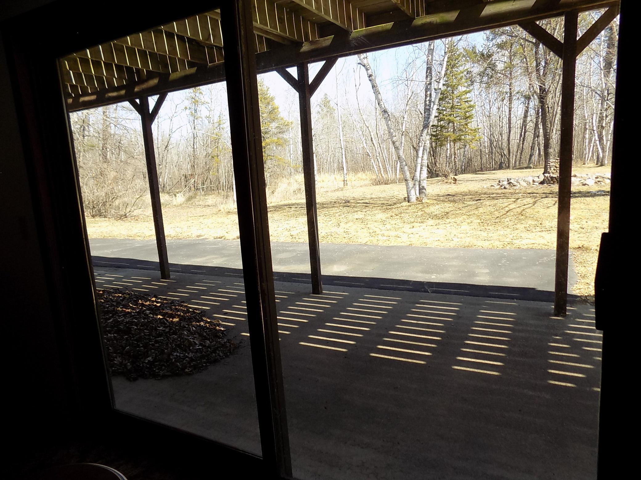 View from basement walkout.JPG