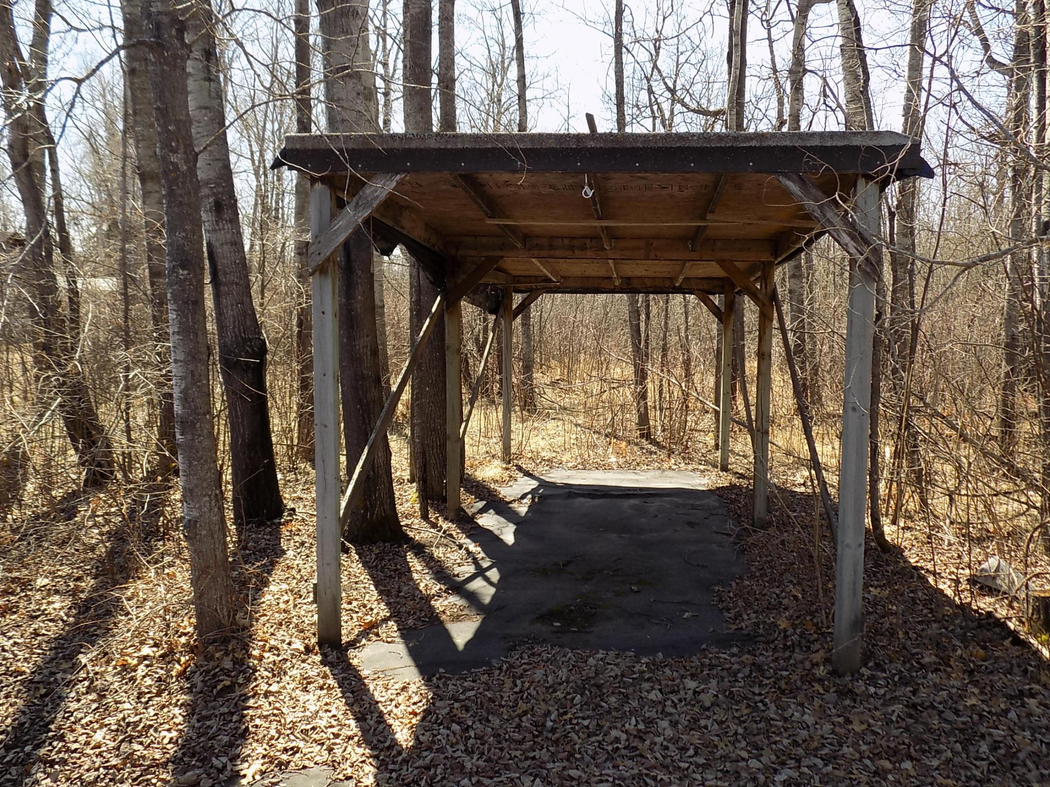 Wood storage area.JPG