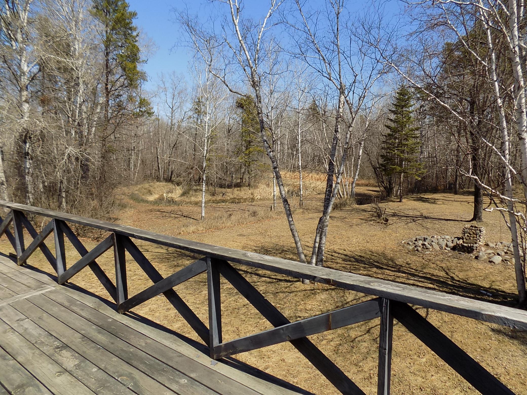 Wild life pond.JPG