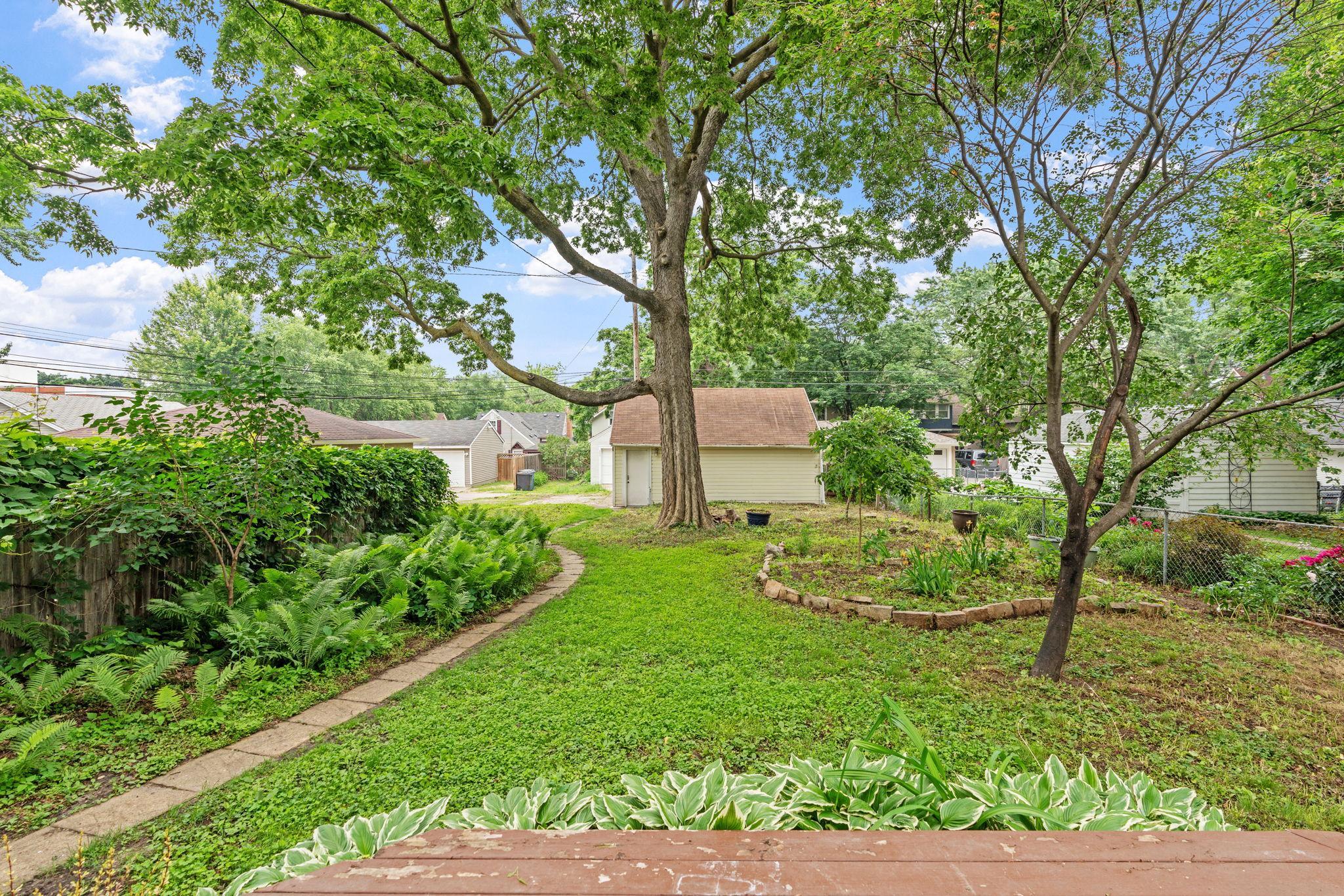 Back yard + Natural gardens