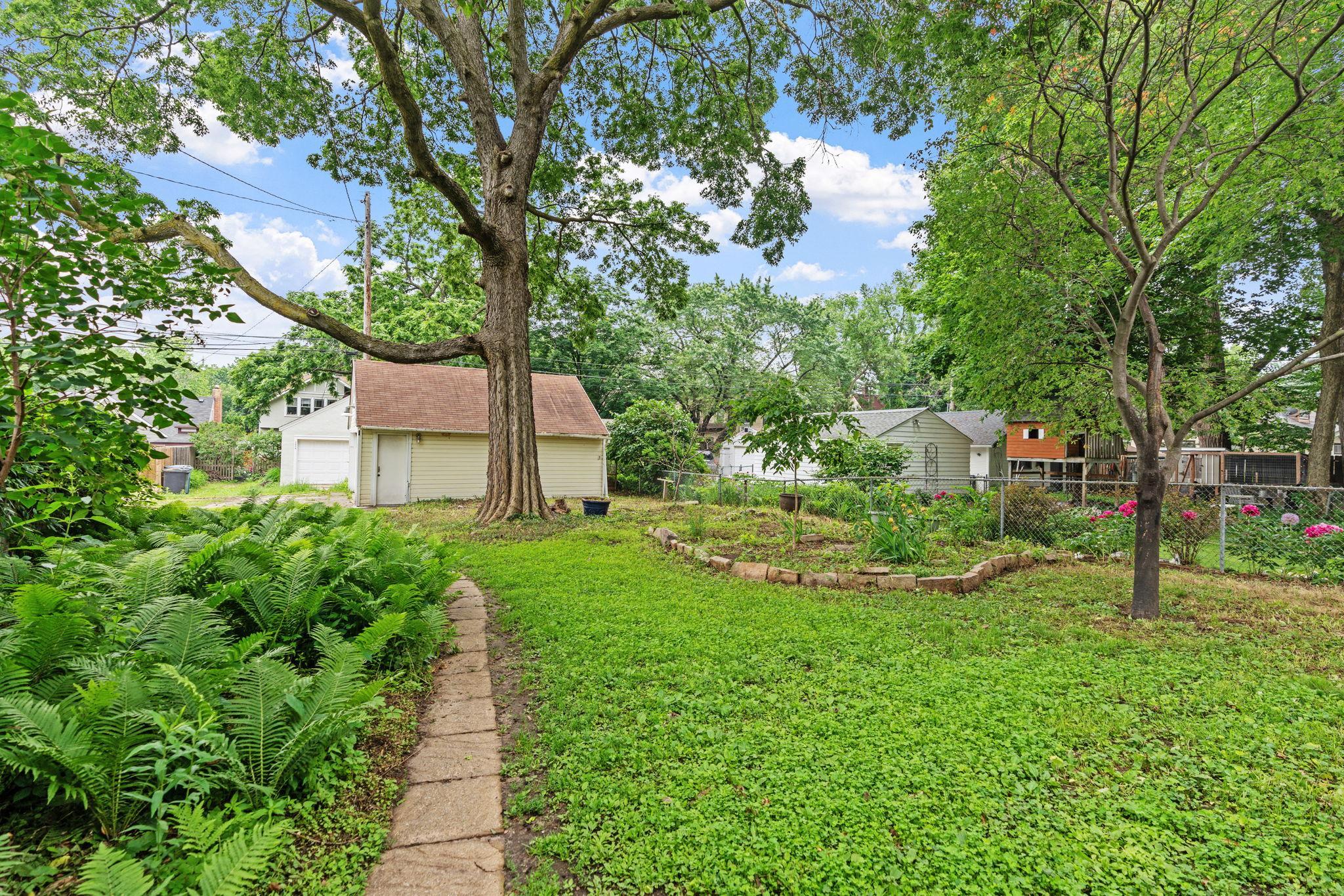Back yard + natural gardens