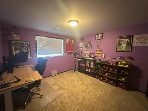 Lower Level Bedroom
