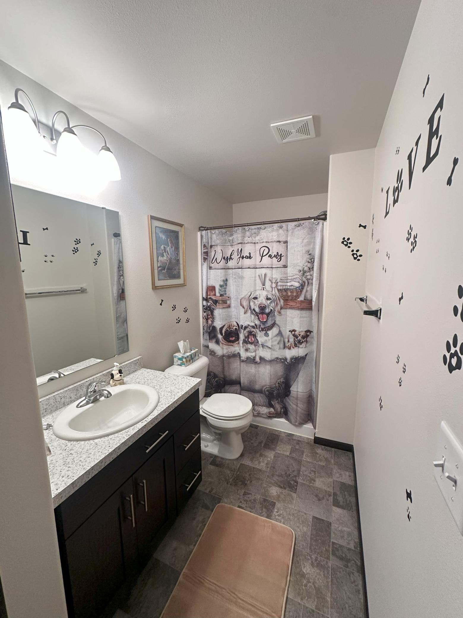 Lower Level Bathroom