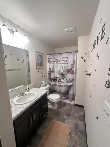 Lower Level Bathroom