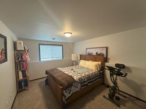 Lowe Level Bedroom
