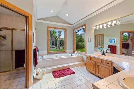 Stylish primary bath