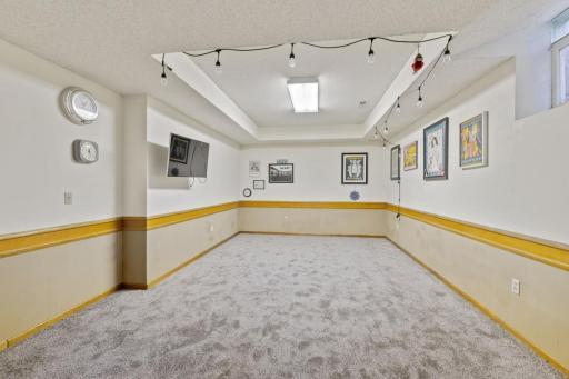 Lower level would make a great theatre room