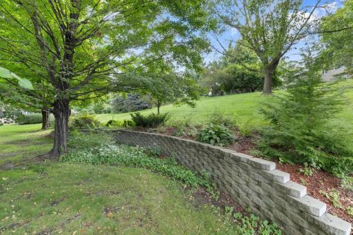 Another view of the back yard