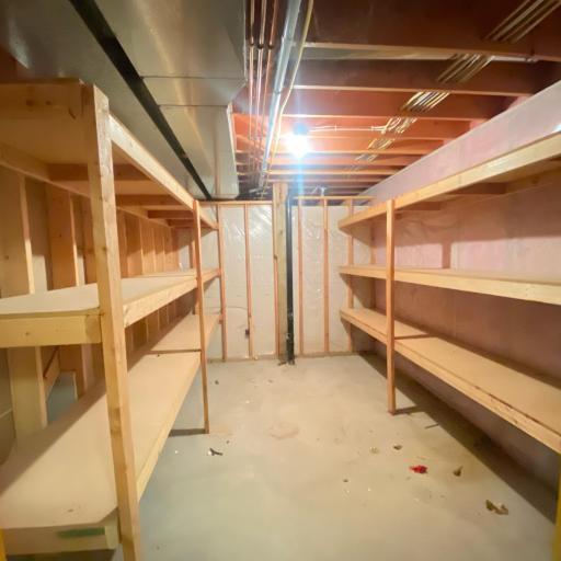 Excellent lower level storage area