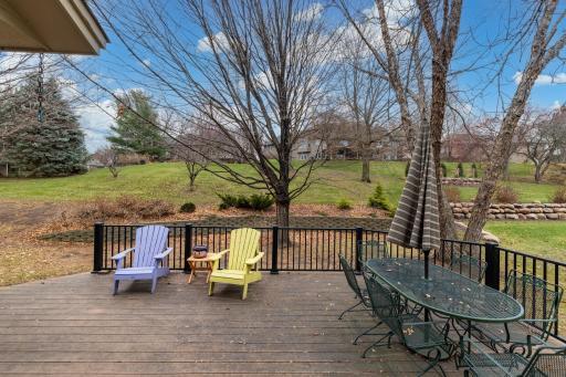 Walk out to new deck from dinette area