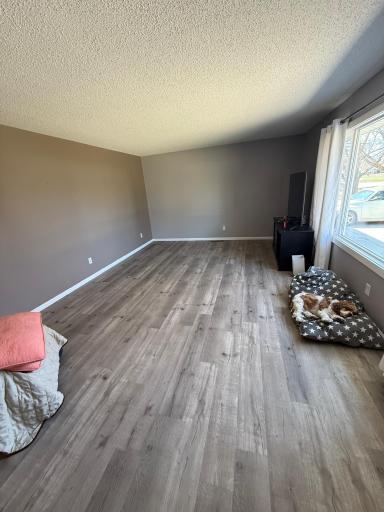 518 Merriam Avenue S, Thief River Falls, MN 56701