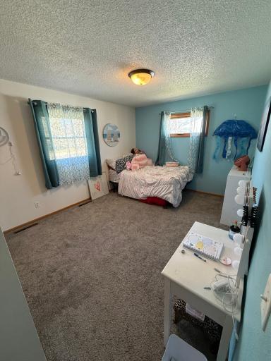 518 Merriam Avenue S, Thief River Falls, MN 56701