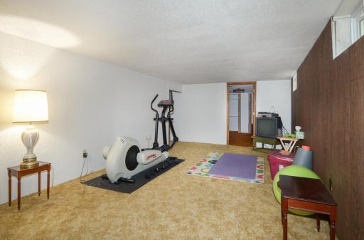 The large lower level family room is ready for your ideas!