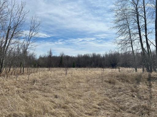TBD Steel Bridge Road NE, Waskish, MN 56685