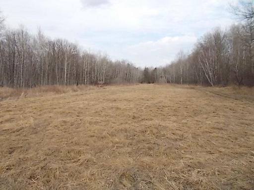 great mix of Wooded and Open grassy area ideal for toys of all kinds