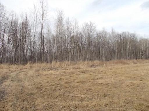 Part of the Food Plot areas that bring in loads of wildlife and Trophy Deer