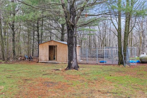 Space for Chickens, Turkeys, Or ? Or sellers will Remove if preferred