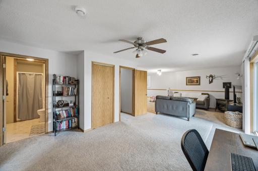 Lower level walkout basement with a gas fireplace..